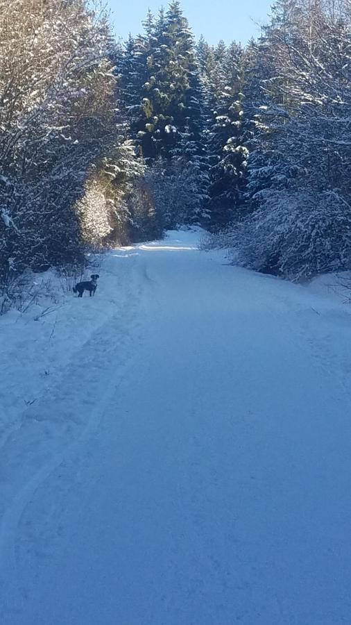 Fewo Engelberg Lägenhet Bad Dürrheim Exteriör bild