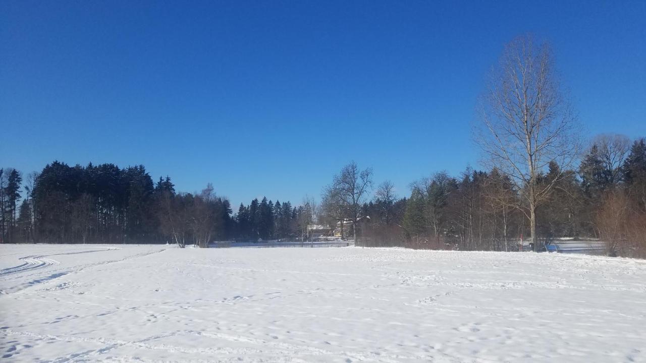 Fewo Engelberg Lägenhet Bad Dürrheim Exteriör bild